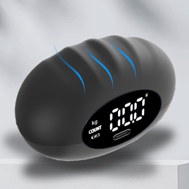 Dinamometer Tangan Digital Erg - Sports Equipment At Home ulasan dan harga