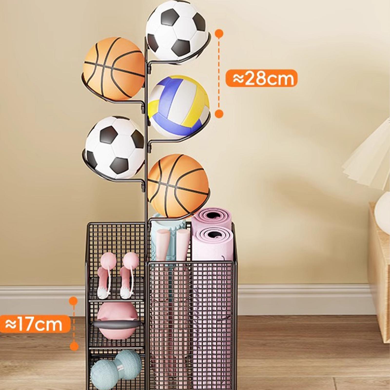 Rak Penyimpanan Bola Vertikal  - Sports Equipment And Facilities ulasan dan harga