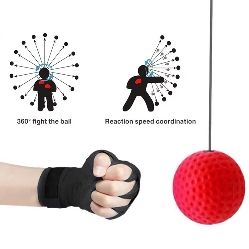 Bola Kecepatan Tinju yang Dipa - Sports Equipment At Home ulasan dan harga
